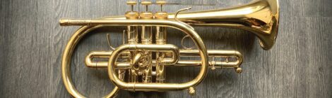 Occasion : cornet Stomvi Master plaqué or